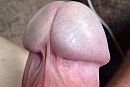 close up van mijn eikel, foto 478x322, 0 reacties, 2 stemmen
