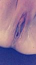 close up, foto 2160x3840, 3 reacties, 25 stemmen