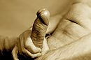 close up, foto 2816x1880, 4 reacties, 31 stemmen