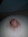 close up, foto 960x1280, 16 reacties, 73 stemmen