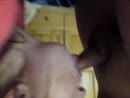 deepthroat, film 00:00:29, 23 reacties, 164 stemmen