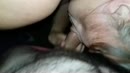 doet ze goed niet?, film 00:00:00, 30 reacties, 152 stemmen