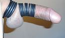 geringd ,, foto 2288x1360, 7 reacties, 13 stemmen