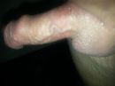 geschoren, foto 3264x2448, 3 reacties, 5 stemmen