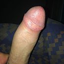 gister, foto 575x575, 2 reacties, 4 stemmen