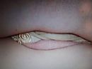 graag reactie, foto 4000x3000, 3 reacties, 16 stemmen