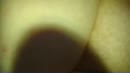 haar spleetje lekker nat neuke, film 00:00:00, 9 reacties, 62 stemmen