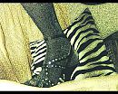 highonheels, foto 312x250, 0 reacties, 2 stemmen