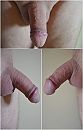 iets groter, foto 1024x1600, 2 reacties, 5 stemmen