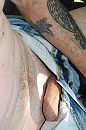 iii, foto 648x968, 1 reacties, 2 stemmen