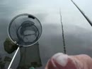 ik gewoon, film 00:00:06, 4 reacties, 16 stemmen