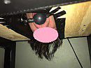 ikke, face down ass up 3, foto 178x133, 0 reacties, 9 stemmen