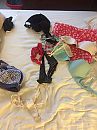 in lingerie, foto 2448x3264, 13 reacties, 29 stemmen