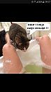 jeetje poes verdronken, foto 540x960, 0 reacties, 7 stemmen