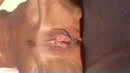 korte movie van kut, film 00:00:05, 19 reacties, 68 stemmen
