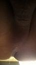 kutje, foto 720x1280, 3 reacties, 5 stemmen