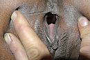 kutje, foto 2896x1944, 55 reacties, 160 stemmen