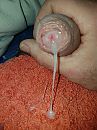 kwaliteitsvisjes, foto 3000x4000, 13 reacties, 19 stemmen