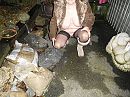 laatste buiten 2018, foto 2048x1536, 6 reacties, 63 stemmen