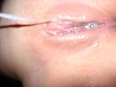 lekker die sappen oplikken, foto 2592x1944, 149 reacties, 394 stemmen