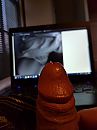 lekker hard, foto 3000x4000, 12 reacties, 28 stemmen