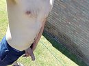 lekker in de tuin, foto 2576x1932, 6 reacties, 24 stemmen