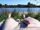 lekker liggen, foto 3264x2448, 3 reacties, 16 stemmen