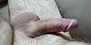 lekkers,toch, foto 690x345, 7 reacties, 21 stemmen