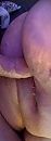 lul er in, foto 1389x3768, 8 reacties, 35 stemmen