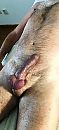na massage, foto 320x694, 3 reacties, 17 stemmen