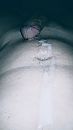 oeps, foto 2250x4000, 0 reacties, 2 stemmen