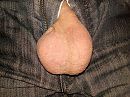 oeps, foto 3264x2448, 1 reacties, 7 stemmen