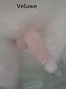 onder de douche, foto 360x480, 0 reacties, 10 stemmen