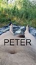 ontspannen, foto 650x1156, 4 reacties, 13 stemmen