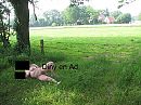 open en bloot, foto 3456x2592, 20 reacties, 138 stemmen