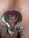 open kut, foto 450x600, 5 reacties, 15 stemmen