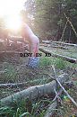 out in the woods, foto 2664x4000, 6 reacties, 58 stemmen