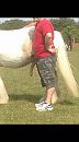 paardenlul, foto 719x1280, 27 reacties, 61 stemmen
