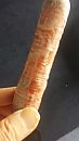 peen, foto 2250x4000, 1 reacties, 10 stemmen