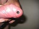 piercing, foto 2592x1944, 5 reacties, 14 stemmen