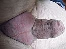pik, foto 2048x1536, 1 reacties, 1 stemmen
