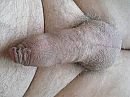 pik, foto 2048x1536, 0 reacties, 0 stemmen