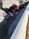 plasje doen, foto 3000x4000, 16 reacties, 99 stemmen