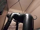 puppy tail, foto 2592x1944, 4 reacties, 6 stemmen