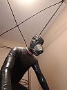 puppy, foto 1944x2592, 0 reacties, 5 stemmen