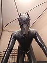 puppy, foto 1944x2592, 4 reacties, 6 stemmen
