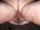 puur, foto 2848x2136, 11 reacties, 59 stemmen