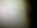 share poes neuken, film 00:00:00, 6 reacties, 63 stemmen