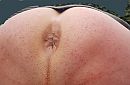 shavedass, foto 2975x1960, 0 reacties, 5 stemmen