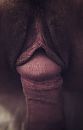 ...shelter, foto 565x881, 18 reacties, 84 stemmen